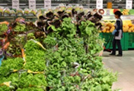 Какие продукты помогут защититься от стресса