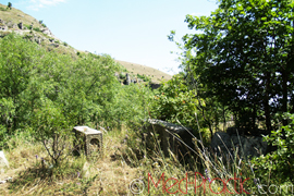 ՆԱՆԵ. Շիրիմ  հայրենիքում (պատմվածք)