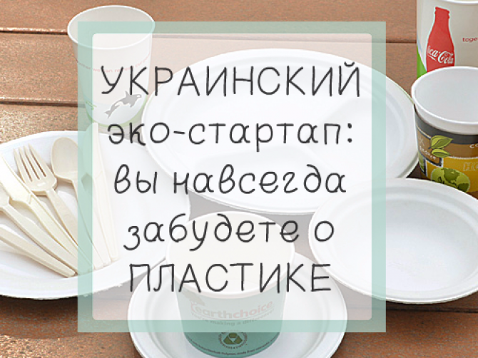 Альтернативу пластиковой посуде создали в Украине