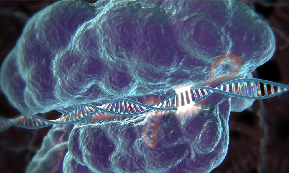 Технологию CRISPR использовали для создания терапии анемии