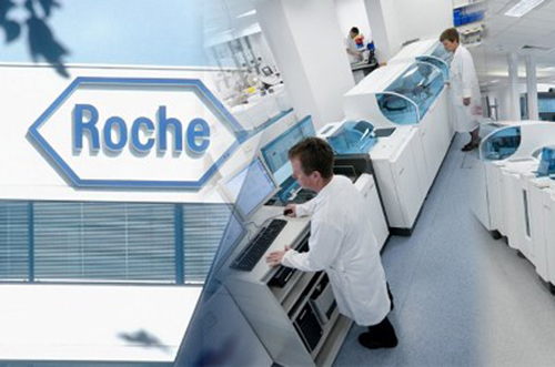 Roche вложит в развитие иммунотерапии рака более 100 млн долларов