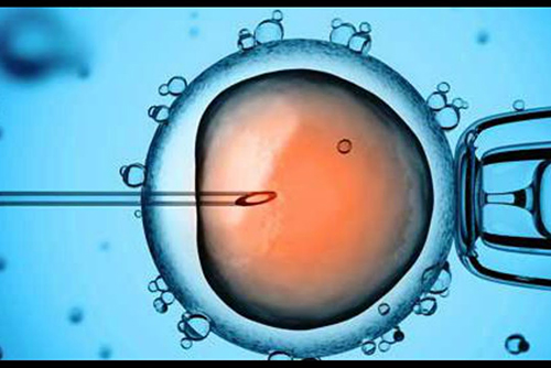 ЭКО поможет людям с плохими генами рожать детей