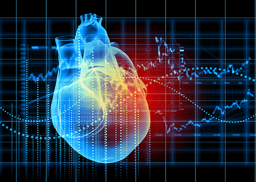 «Компьютерное сердце» поможет диагностировать болезни и проверить лекарства