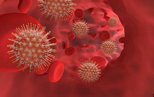 Коронавирус способен изменить структуру клеток крови