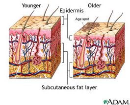 Старение кожи