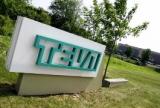 Чистая прибыль Teva за 2012 года снизилась