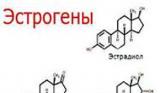 Էսթրոգենը կանանց պաշտպանում է «վատ» խոլեսթերինից. 1in.am