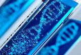 Китайские ученые потеряли контакт с людьми, которым они изменили гены