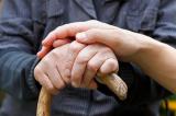 Пересадка костного мозга помогла побороть старение