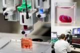 3D-печать живыми клетками выходит на новый уровень