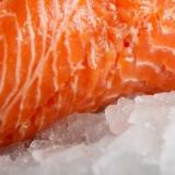 Самая опасная рыба!