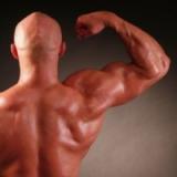 Белок помогает нарастить сильные мышцы