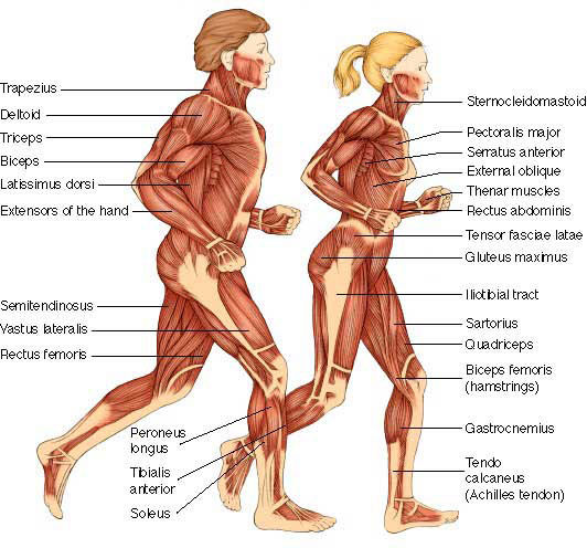 Մի քանի պատճառ՝ վազքով զբաղվելու համար