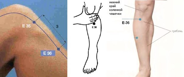 Точка долголетия от ста болезней (Цзу-сан-ли, Е36)