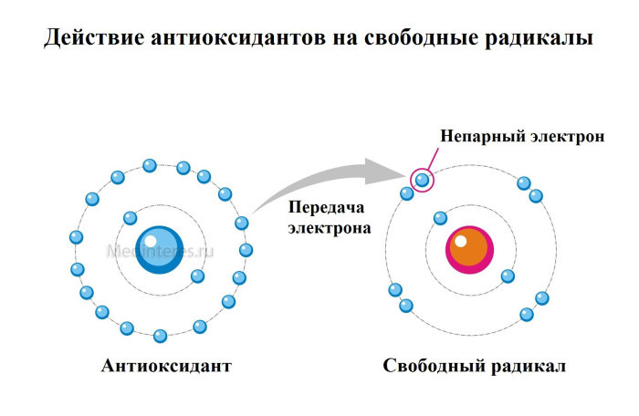 Что такое антиоксиданты и какую неправду о них пишут