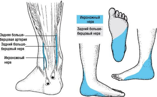 Почему немеют пальцы ног