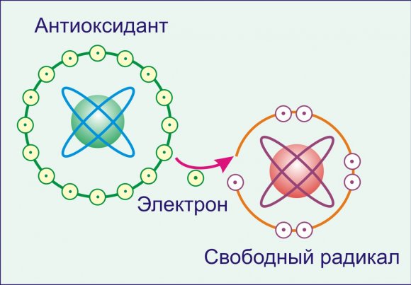 Витамин Е