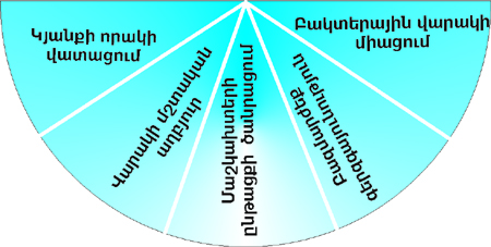 Եղունգների և մաշկի սնկային վարակ